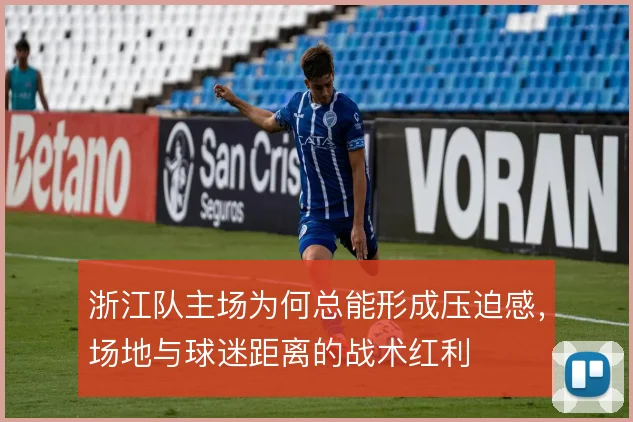 浙江队主场为何总能形成压迫感,场地与球迷距离的战术红利